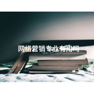 网络营销专业有用吗