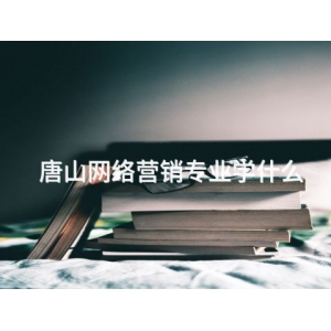 唐山网络营销专业学什么